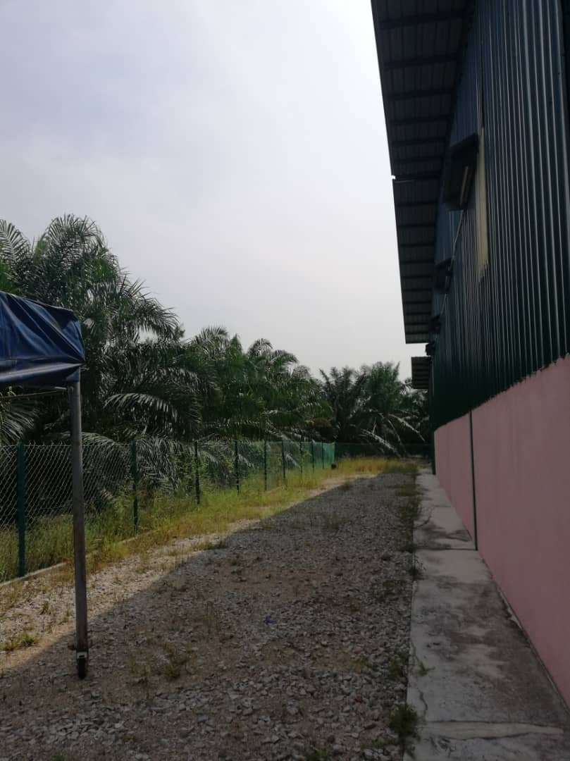 Api Land LIST-100130 - Api Api, Agriculture Land For Sale at Kuala Selangor ...